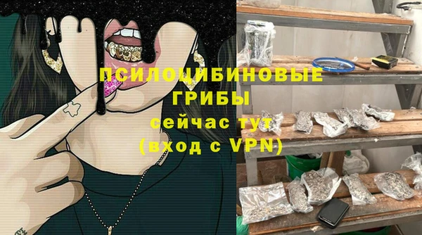 марки lsd Медногорск