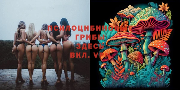 дурь Медвежьегорск